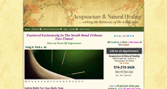 Desktop Screenshot of acupuncture-southbend.com